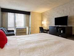 Zimmerbild 4