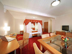 Zimmerbild 5