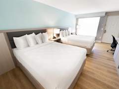 Zimmerbild 23