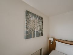 Zimmerbild 8