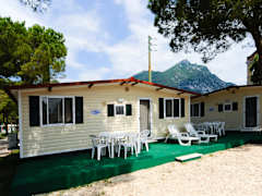 Zimmerbild 8
