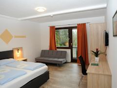 Zimmerbild 2