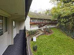 Zimmerbild 8