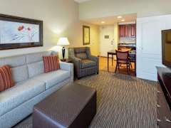 Zimmerbild 5