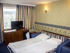 Zimmerbild 7