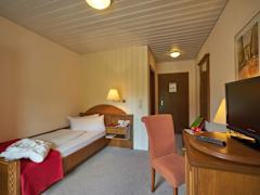 Zimmerbild 9