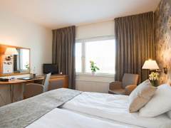 Zimmerbild 5