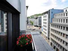 Zimmerbild 10