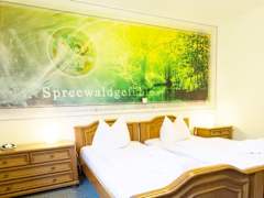 Zimmerbild 7