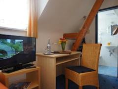 Zimmerbild 6