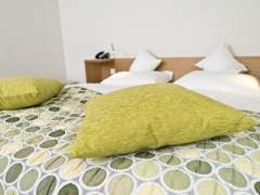 Zimmerbild 9
