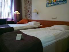 Zimmerbild 10