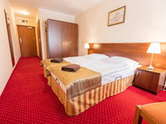 Zimmerbild 6