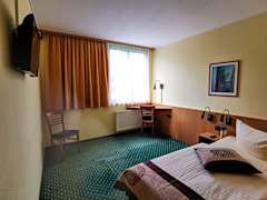 Zimmerbild 5