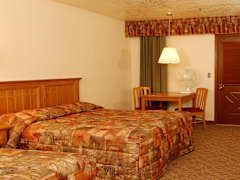 Zimmerbild 5