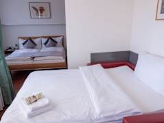 Zimmerbild 6