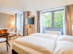 Zimmerbild 10