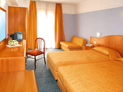 Zimmerbild 2