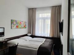 Zimmerbild 8