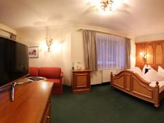 Zimmerbild 8
