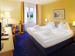 Zimmerbild 4