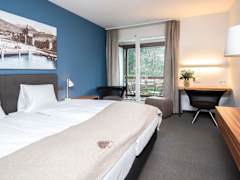 Zimmerbild 18