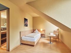 Zimmerbild 19