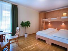 Zimmerbild 15