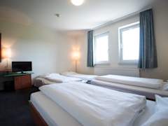 Zimmerbild 12