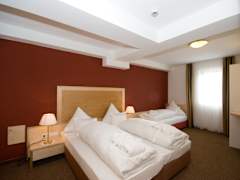 Zimmerbild 21
