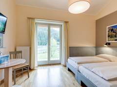 Zimmerbild 11