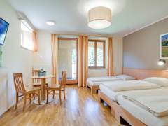 Zimmerbild 10