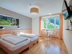 Zimmerbild 16