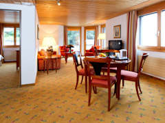 Zimmerbild 23
