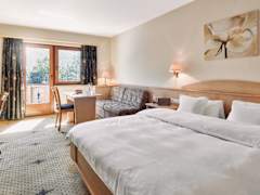 Zimmerbild 4