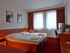 Zimmerbild 12