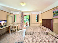Zimmerbild 6