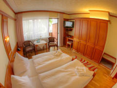 Zimmerbild 5