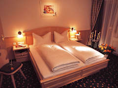 Zimmerbild 4