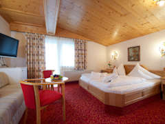 Zimmerbild 17