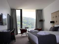 Zimmerbild 11