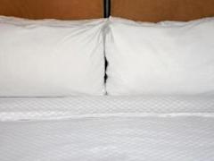 Zimmerbild 2