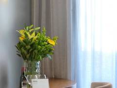 Zimmerbild 4