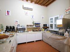 Zimmerbild 3