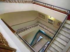 Zimmerbild 6