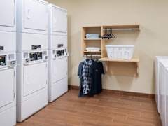 Zimmerbild 1