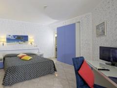 Zimmerbild 1
