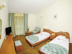 Zimmerbild 1