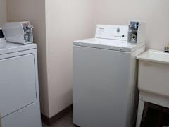 Zimmerbild 1