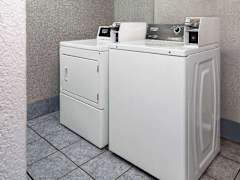 Zimmerbild 6